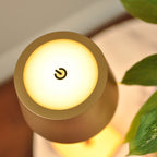 Petite Cordless LED Table Lamp