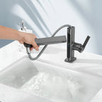 Alyra Single-Hole Pull-Out Faucet With Temperature Readout
