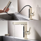 Alyra Single-Hole Pull-Out Faucet With Temperature Readout