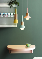 Liora Metal and Wood Pendant Lights