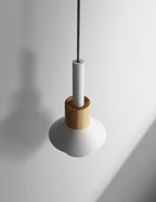 Liora Metal and Wood Pendant Lights
